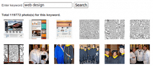 jQuery flickr image search